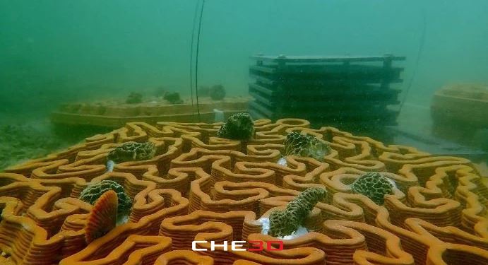 Baldosa impresa en 3D con forma de coral cerebro