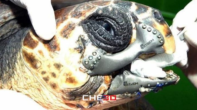 Mandíbula de titanio impresa en 3D para la tortuga Akut