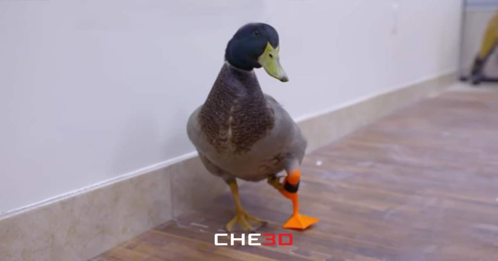 Prótesis impresa en 3D para el pato Waddles